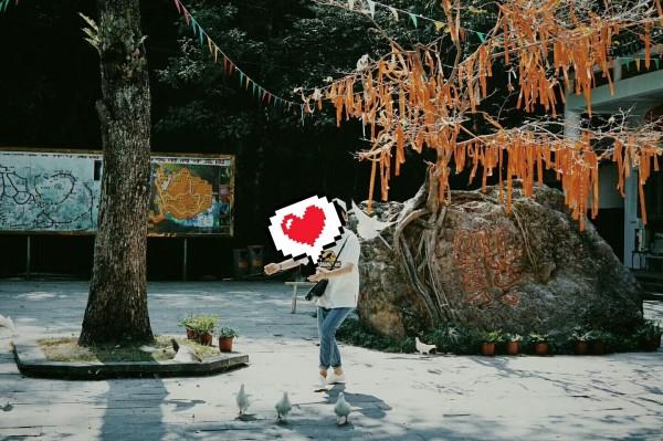 我父母离婚多年今年暑假我想去妈妈那里玩几天，爸爸不同意，我该怎么办？游戏画面